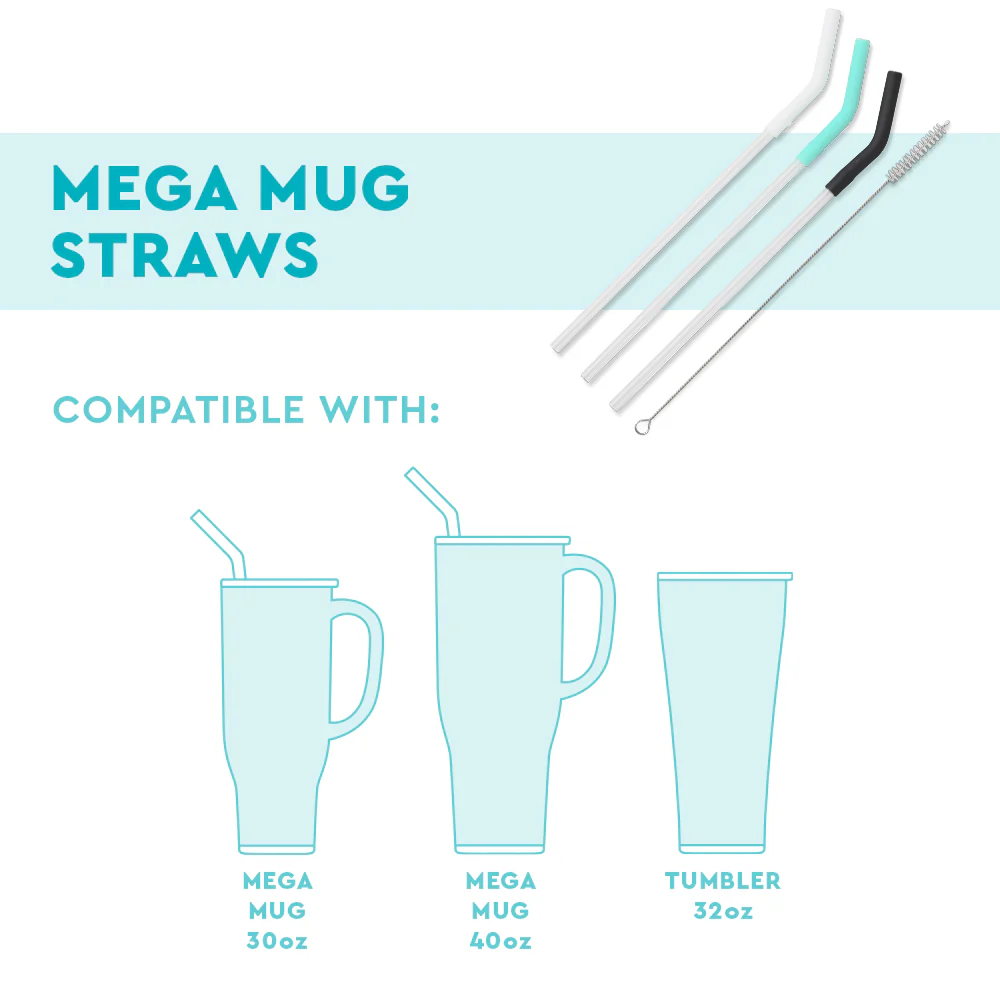 Blush/Coral/Hot Pink Reusable Straw Set Mega Mugs