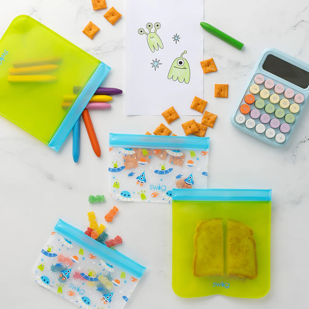 Space Camp Reusable Storage Baggies Set of 4