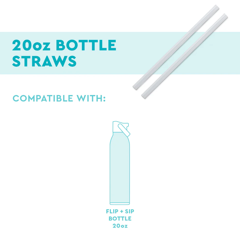 Replacement Straws 2-Pack 20oz Bottle